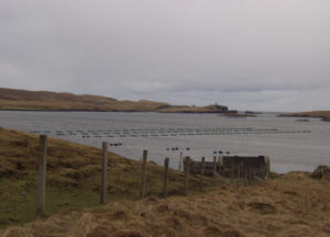 Confidential Sale - Mussel Farm/Processor
