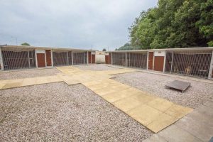 Hillend Cattery & Kennels For Sale, Fife. 2579
