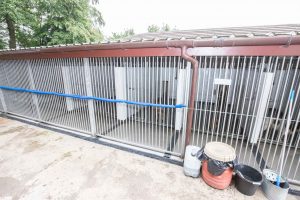 Hillend Cattery & Kennels For Sale, Fife. 2579
